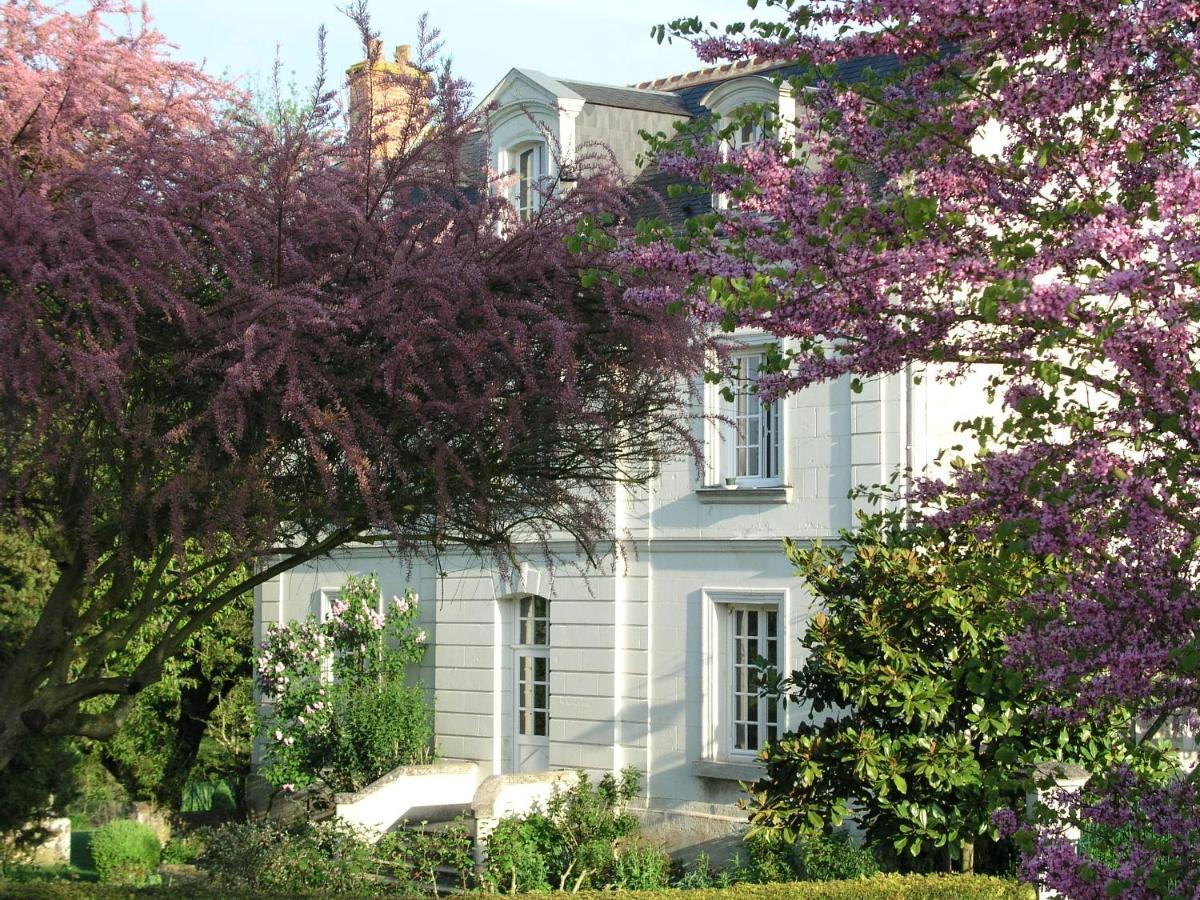 Le Chat Courant Villandry Luaran gambar